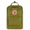 Fjallraven Fjällräven Kanken Laptop 15" Rugzak Foliage Green -NL Rugzak Verkoopwinkel 15 foliagegreen 4