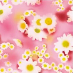 Eastpak Orbit Mini Rugtas Soft Pink -NL Rugzak Verkoopwinkel cb 7d2 uc231300 mhigh