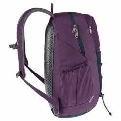Deuter Gogo 25 L Backpack Currant Redwood -NL Rugzak Verkoopwinkel deuter 3813221 5334 gogo plum ink d 02 1
